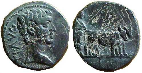 3155 Parium Mysia Tiberius AE