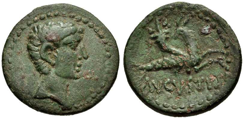 3802 Parium Mysia Augustus AE
