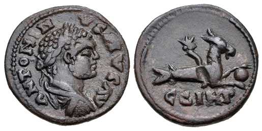 6297 Parium Mysia Caracalla AE