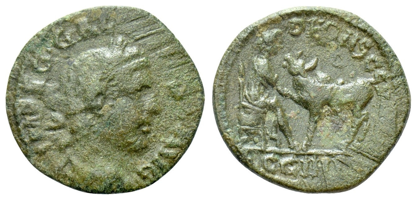 v5575 Parium Mysia Gallienus AE