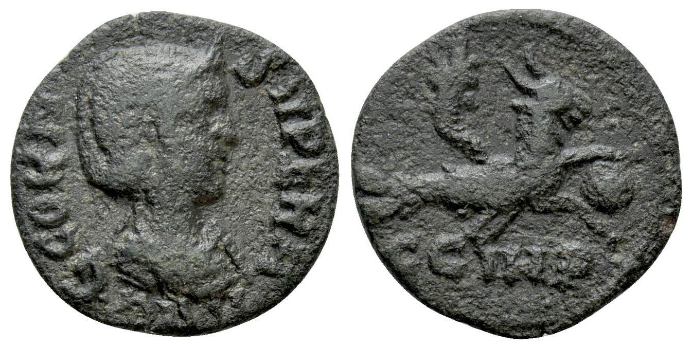 v5669 Parium Mysia Gallienus AE