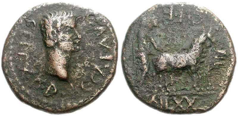3116 Sinope Paphlagonia Caligula AE