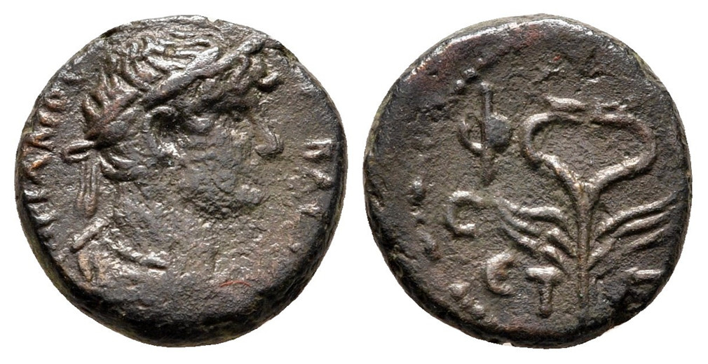7350 Samosata Commagene Hadrianus AE