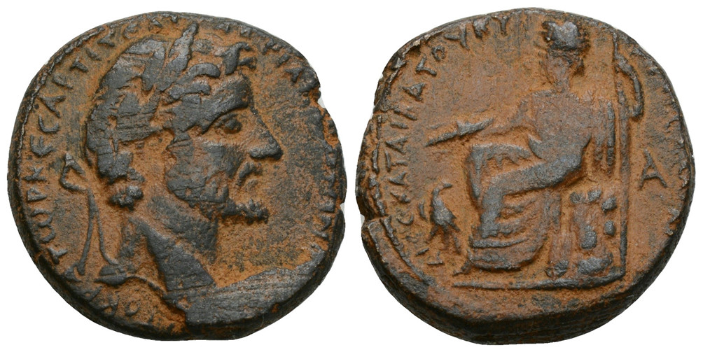 7256 Cyrrhus Cyrrhestica Antoninus Pius AE