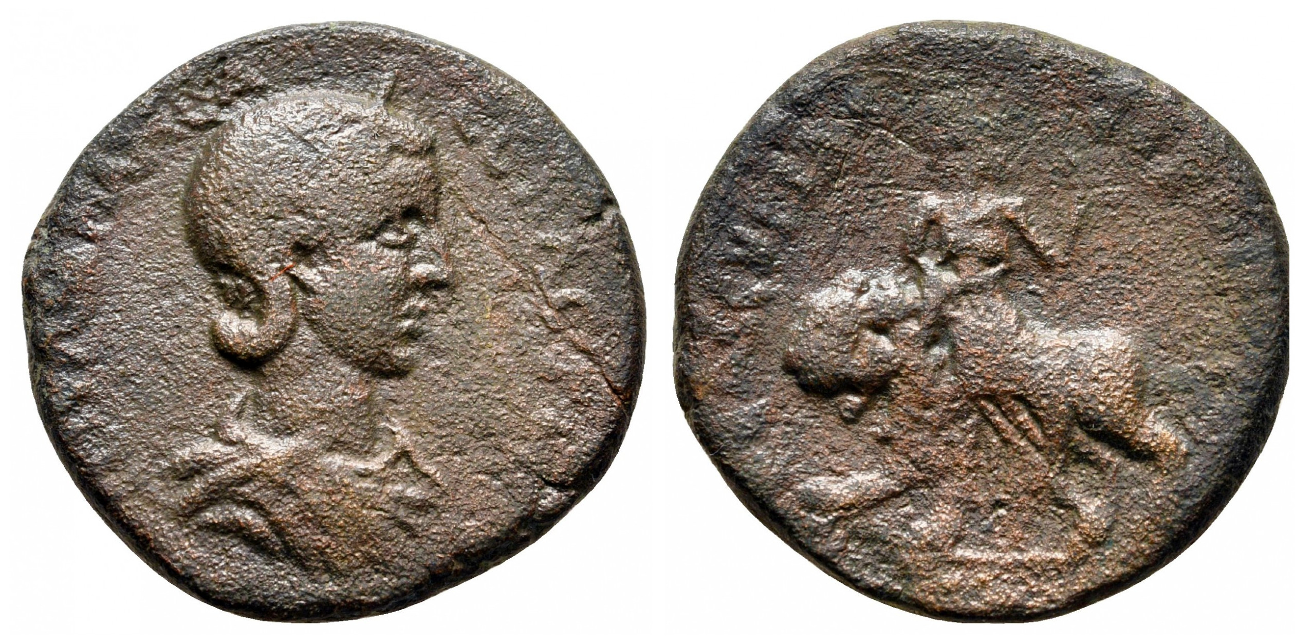 7204 Hieropolis Cyrrhestrica Syria Iulia Mamea AE