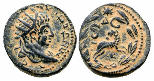 6806 Antiochia ad Orondem Elagabalus AE