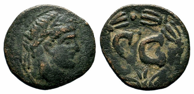 7100 Antiochia ad Orondem Domitianus AE