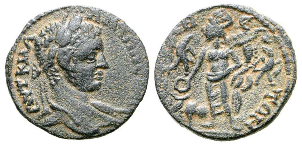 7264 Raphanea Seleucis & Pieria Elagabalus AE